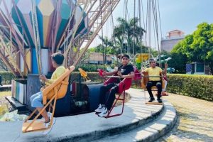 Swing Chair Medium